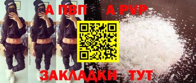 стафф Новокубанск
