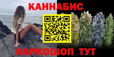 стафф Новокубанск