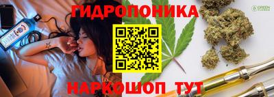 мдпв Кохма