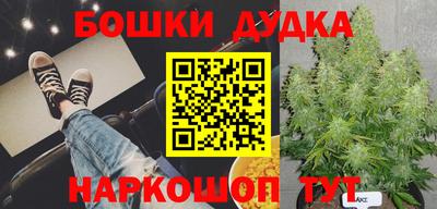 дживик Новозыбков