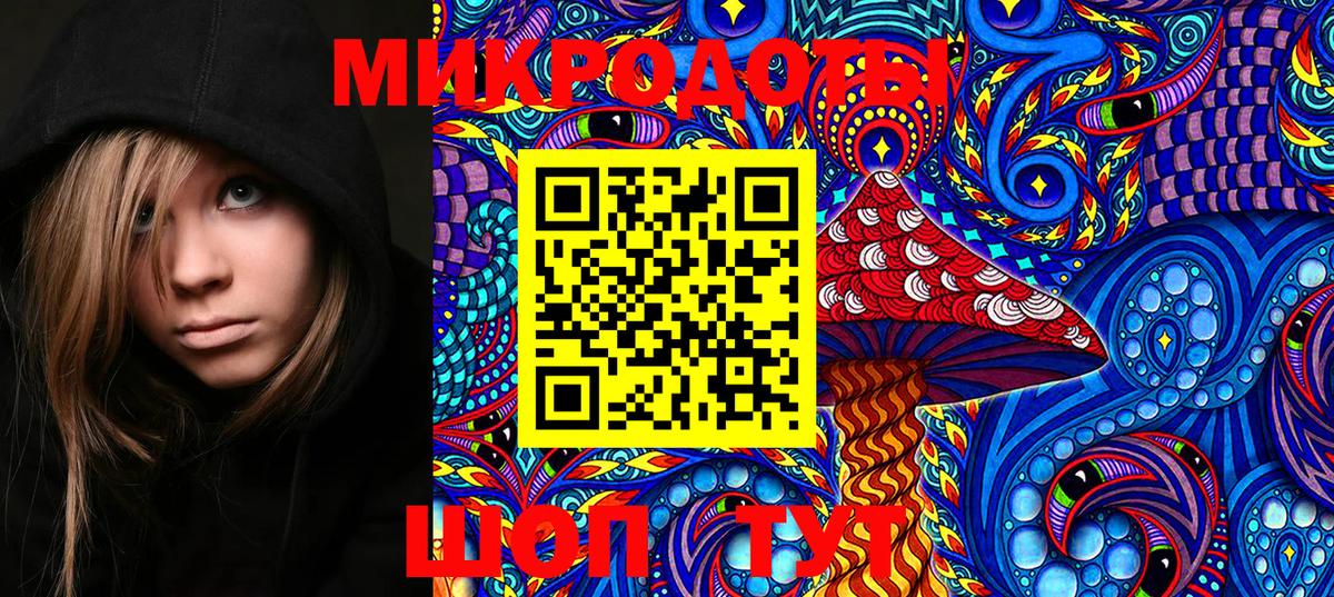 Галлюциногенные грибы Psilocybe Шарыпово