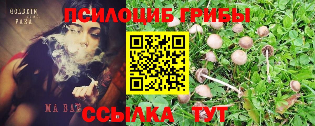 Псилоцибиновые грибы GOLDEN TEACHER  Галлюциногенные грибы ЛСД  Шарыпово  Вход с VPN 