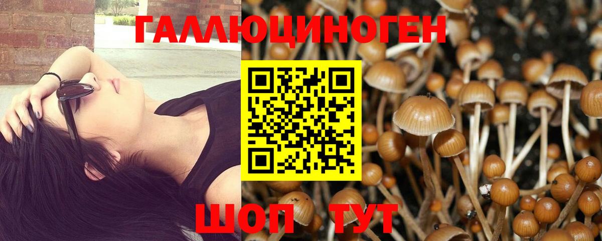 купить наркотик  Шарыпово  Псилоцибиновые грибы прущие грибы 