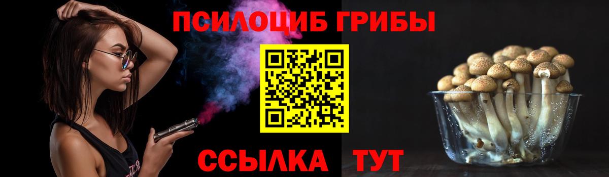 Галлюциногенные грибы мухоморы Шарыпово